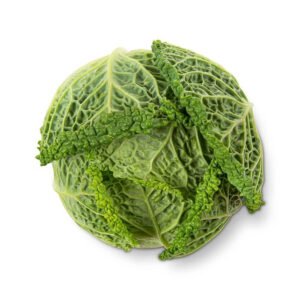 Savoy Cabbage